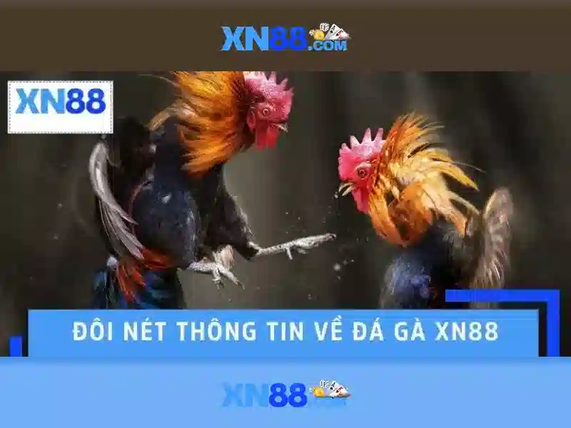 xn88 – Nền tảng trò chơi trực tuyến uy tín