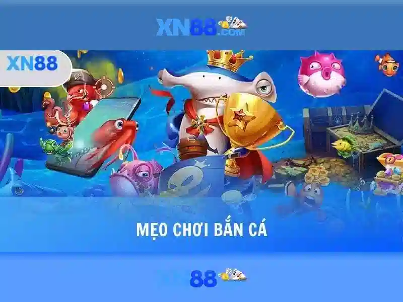 Kết luận và triển vọng
