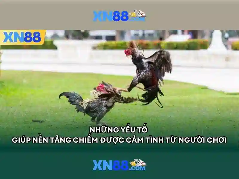 xn88: Tổng quan về nền tảng trực tuyến