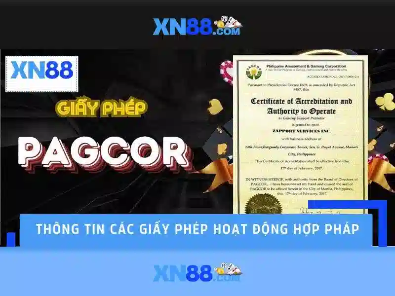 Phương thức thanh toán và hỗ trợ khách hàng