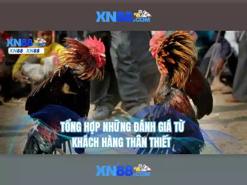 Tổng quan về xn88 và vai trò của nó trong cộng đồng game trực tuyến
