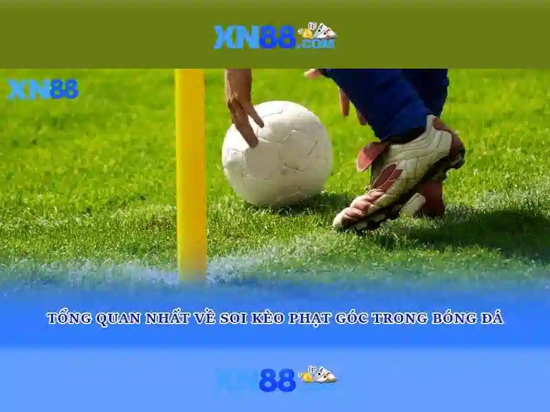 Cách truy cập và trải nghiệm người dùng