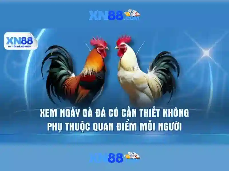 XN88: Nền tảng trò chơi trực tuyến và hành trình trải nghiệm