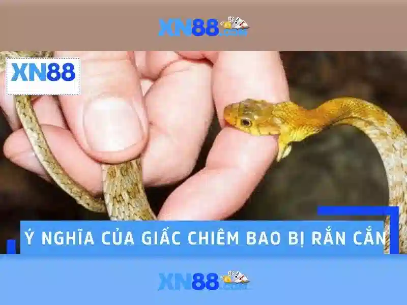 Cách hoạt động và cơ cấu sản phẩm