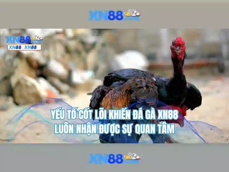 XN88: Nền tảng chơi trực tuyến và đánh giá tổng quan