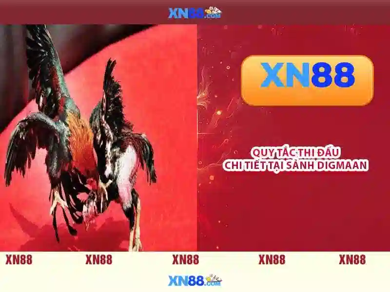xn88 là gì và ảnh hưởng của nó trên thị trường trực tuyến