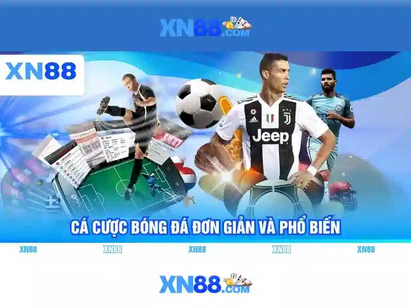 Hỗ trợ và cộng đồng