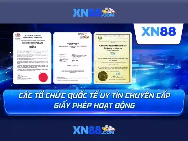 Giới thiệu về xn88