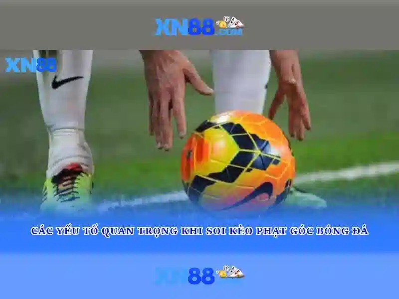 xn88: một phân tích tổng quan