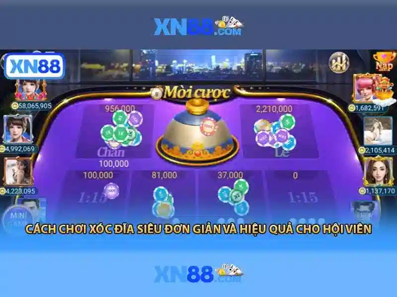 Khuyến mãi và hỗ trợ khách hàng