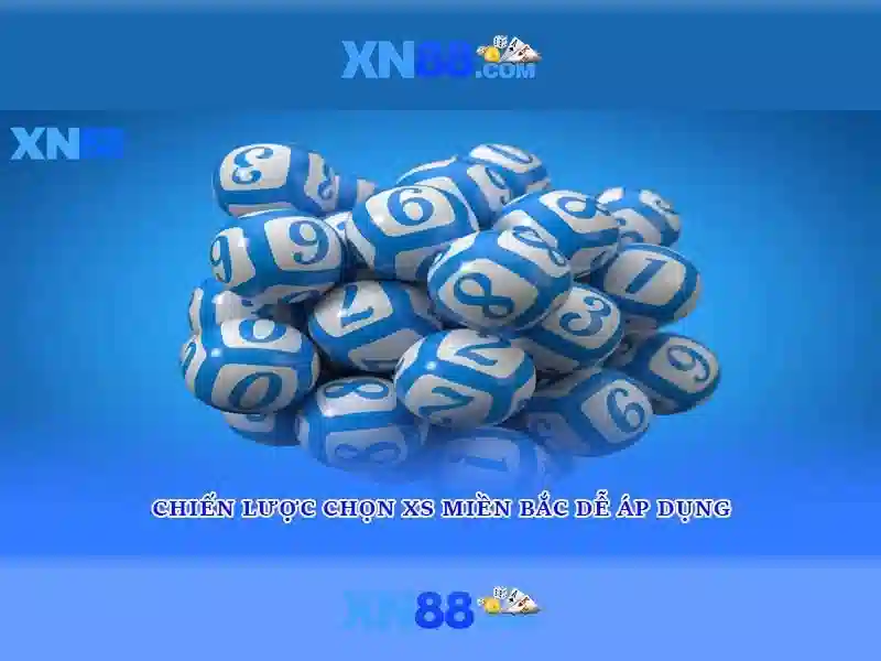 Lịch sử và giấy phép