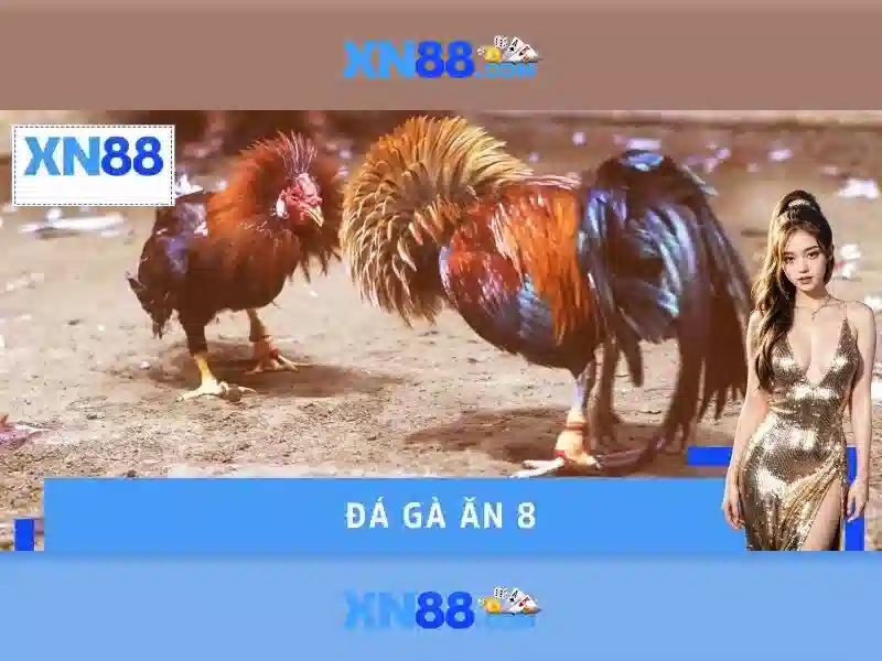 xn88: Gioi thieu ve nha cai truc tuyen va cac diem manh