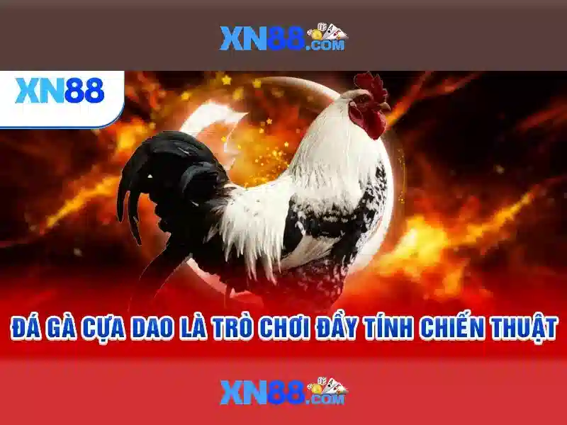 Rủi ro và thách thức khi triển khai xn88