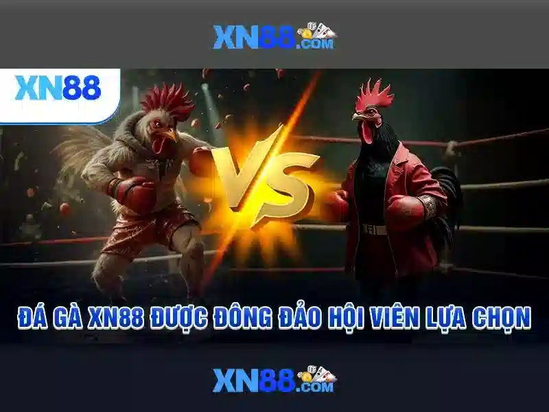 Giới thiệu xn88: Nền tảng cá cược trực tuyến