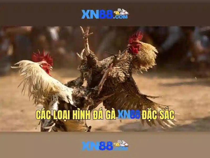 Công cụ và tính năng nổi bật