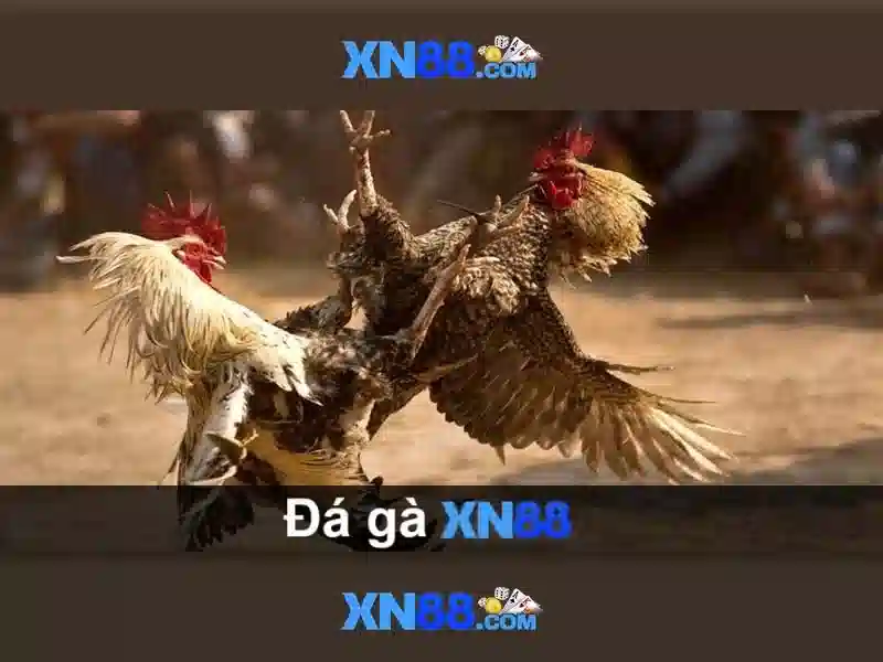 xn88 - Nền tảng giải trí trực tuyến uy tín