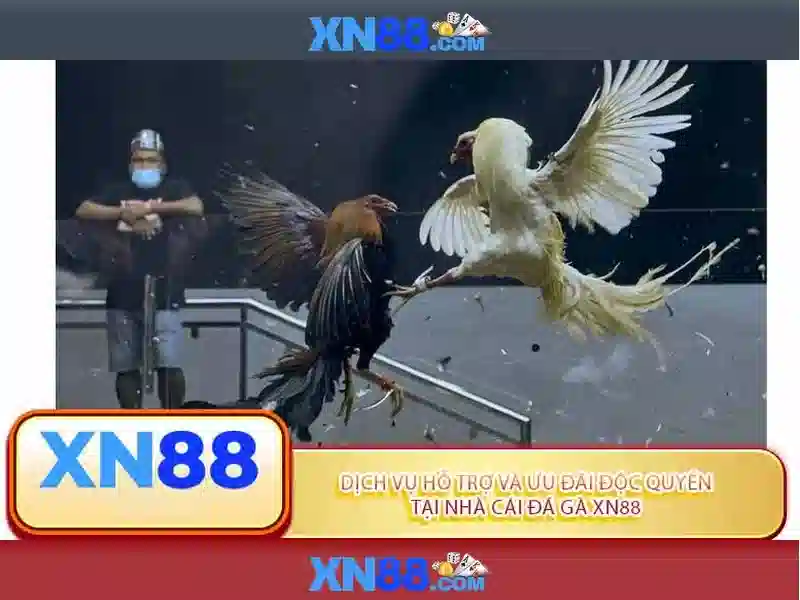 Xn88: Nền tảng game trực tuyến và những điều bạn cần biết