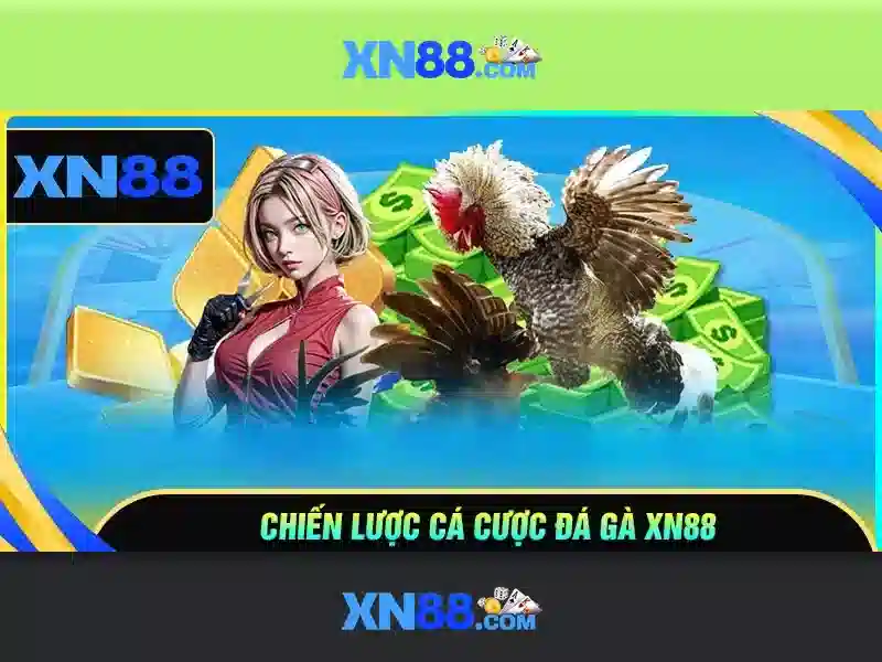 XN88: Nền tảng cược trực tuyến và tổng quan