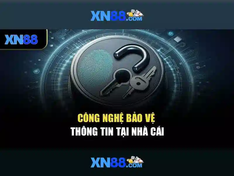 Giao diện và trải nghiệm người dùng