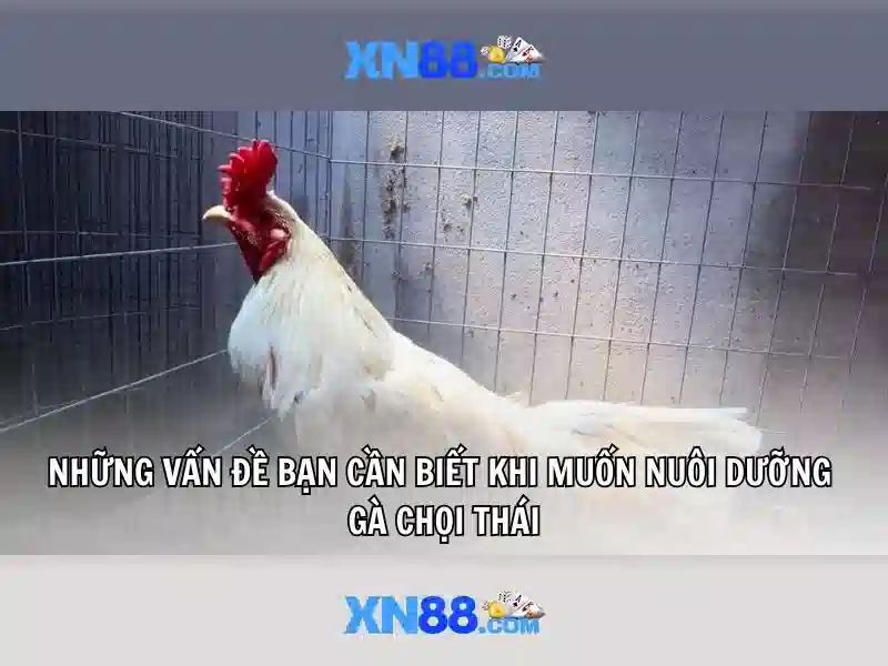 Giới thiệu về xn88
