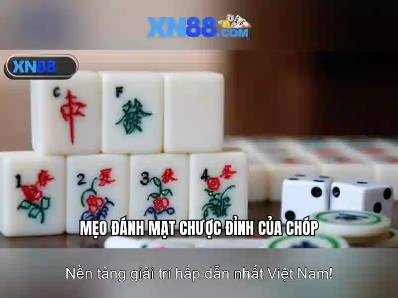 xn88 - Giới thiệu và trải nghiệm nền tảng giải trí trực tuyến