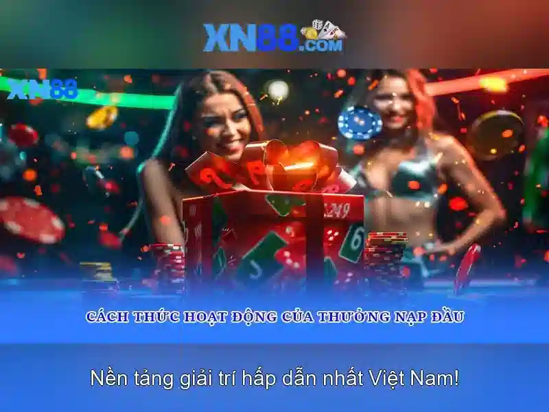 Xn88: Tổng quan, tính năng và lưu ý cho người dùng
