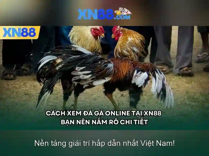 xn88: nền tảng chơi game trực tuyến và những điều bạn cần biết