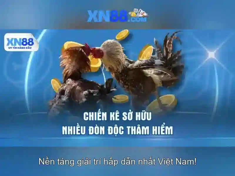 Tổng quan và sứ mệnh