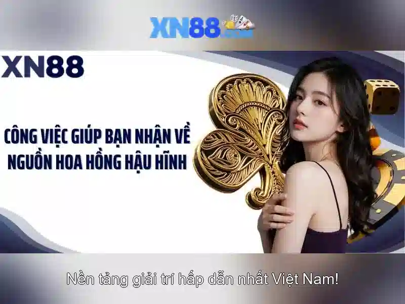 Nền tảng và trải nghiệm người dùng