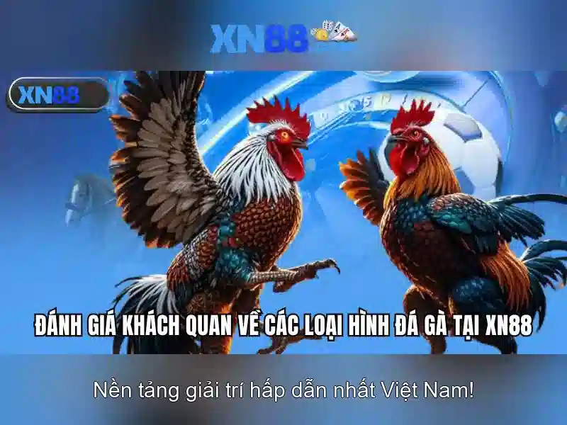 xn88: Nền tảng trò chơi trực tuyến và đánh giá tổng quan