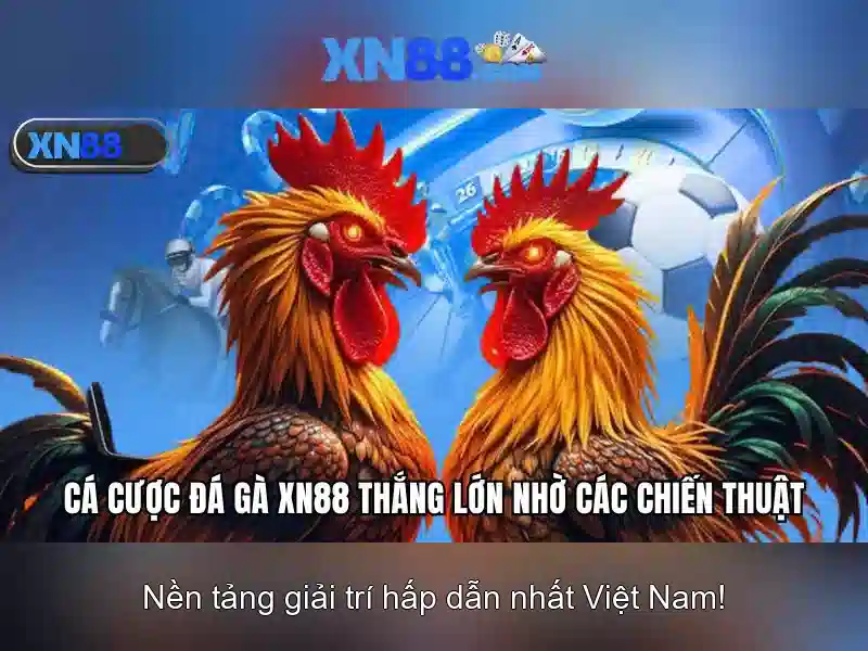 xn88: Giới thiệu và những đặc điểm nổi bật