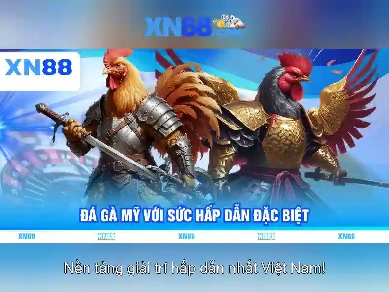 xn88: Tổng quan về nền tảng và các yếu tố liên quan