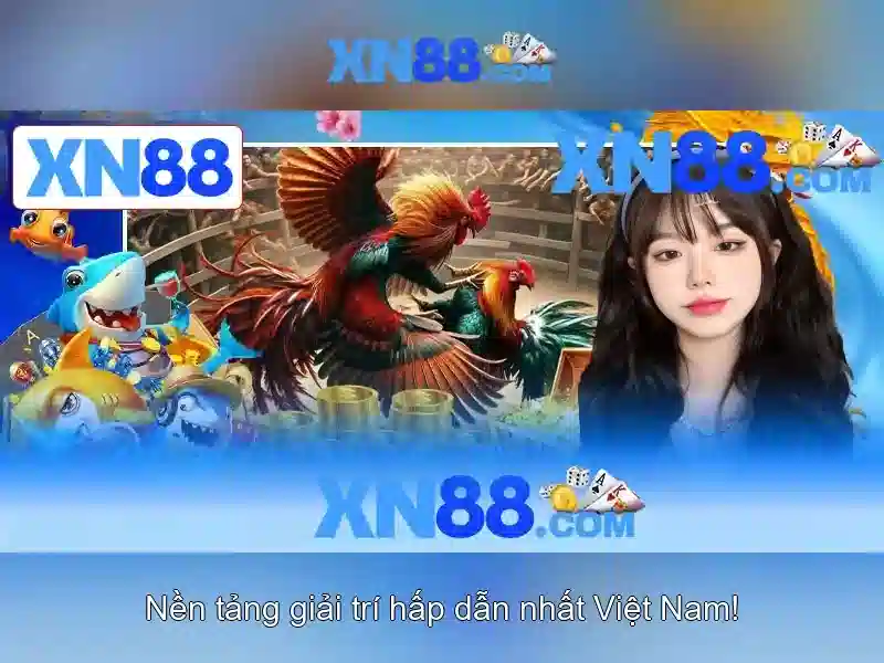 xn88: Tổng quan về nền tảng đánh bạc trực tuyến