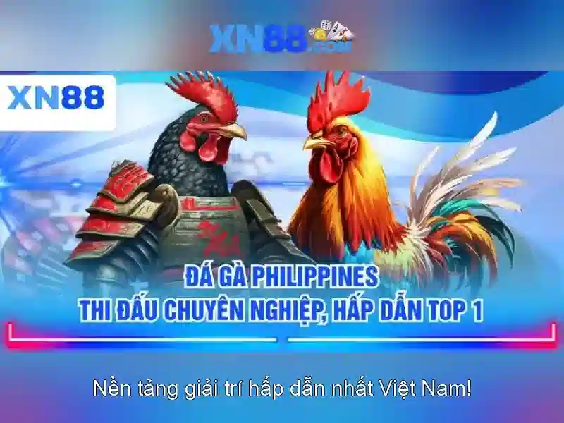 Cốt lõi công nghệ của XN88
