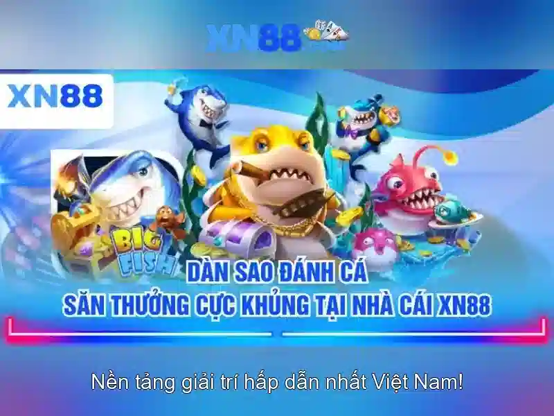 Giới thiệu về xn88