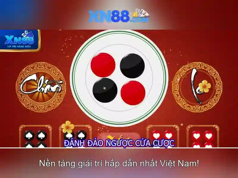Các sản phẩm nổi bật của xn88