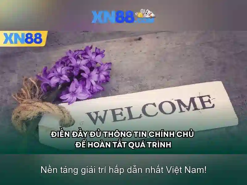xn88 là gì?