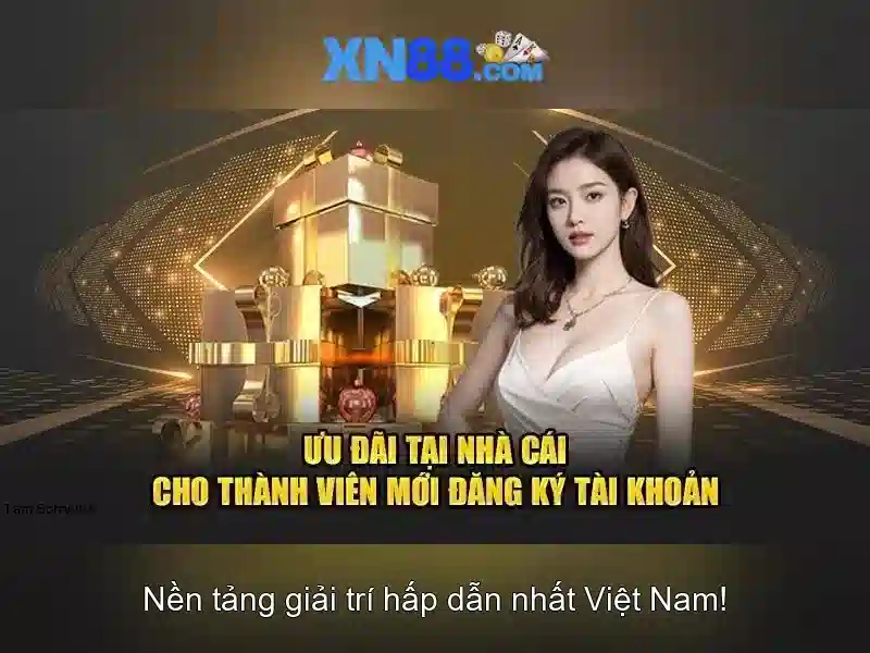 Trải nghiệm người dùng