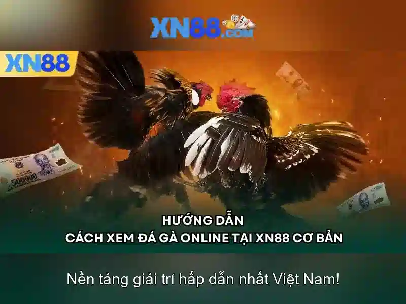 Các tính năng nổi bật của xn88