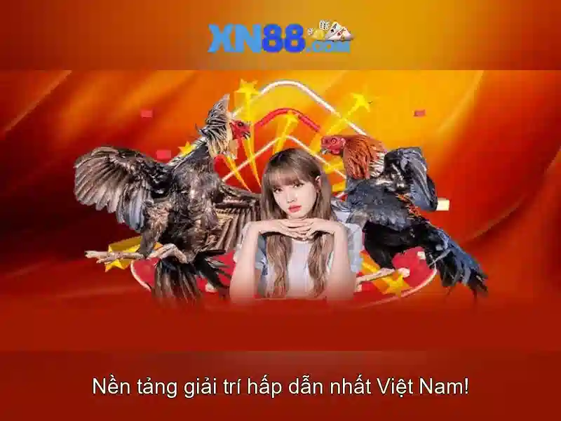 xn88: Tổng quan về nền tảng giải trí và cược trực tuyến