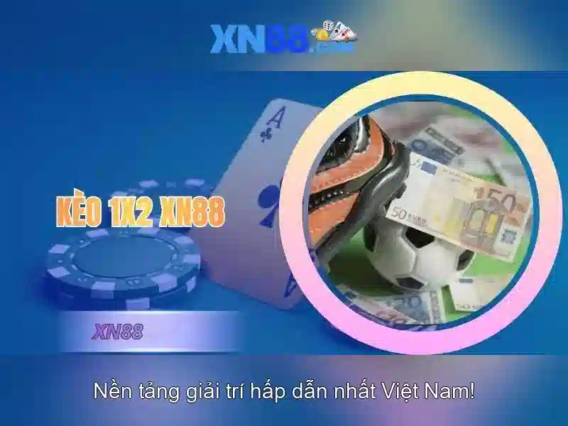 Giao diện người dùng và trải nghiệm