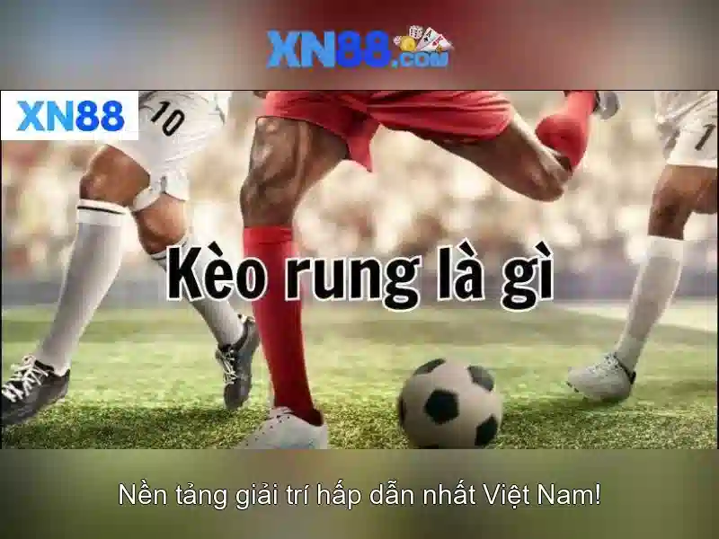 Các dịch vụ chính của xn88