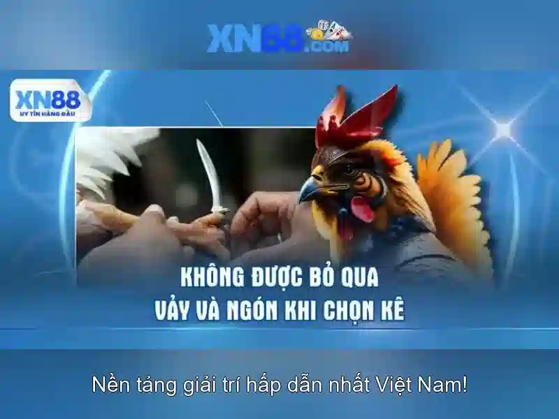 Gioi thieu xn88: danh choi online va nhung dieu can biet