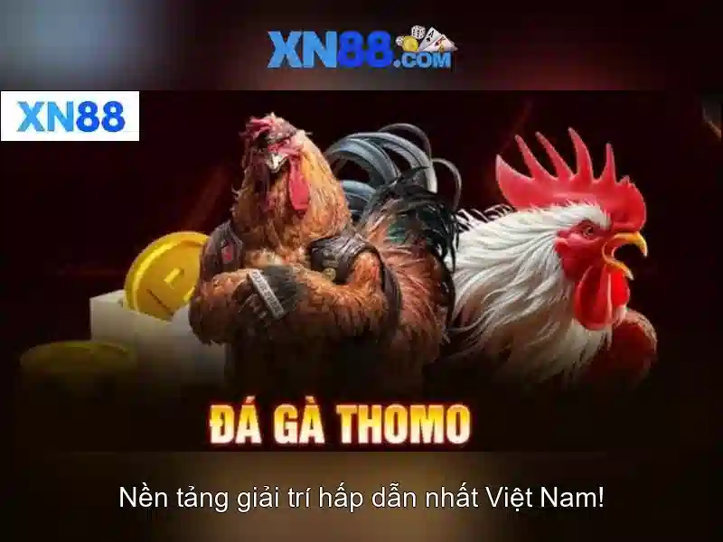 Các tính năng nổi bật của Xn88