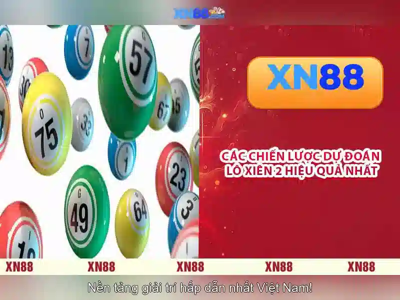infographic_xn88