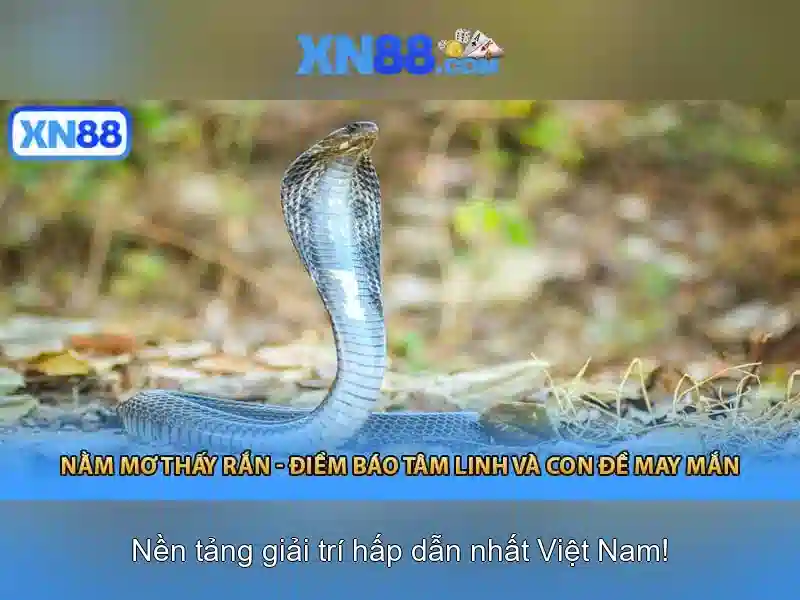 Tính năng chính của XN88