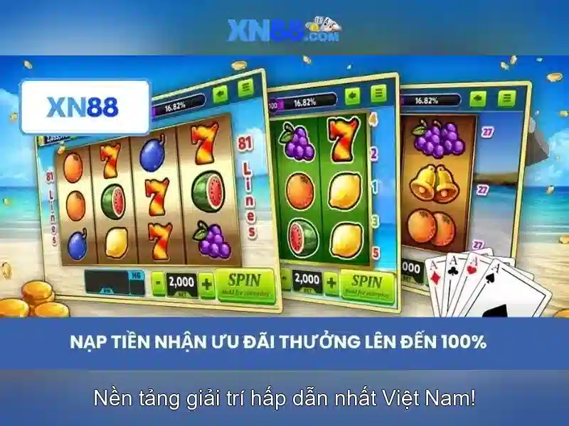 Hướng dẫn tham gia an toàn và trải nghiệm