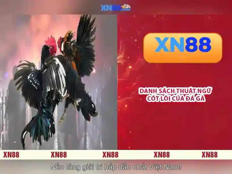 Các trò chơi phổ biến tại xn88