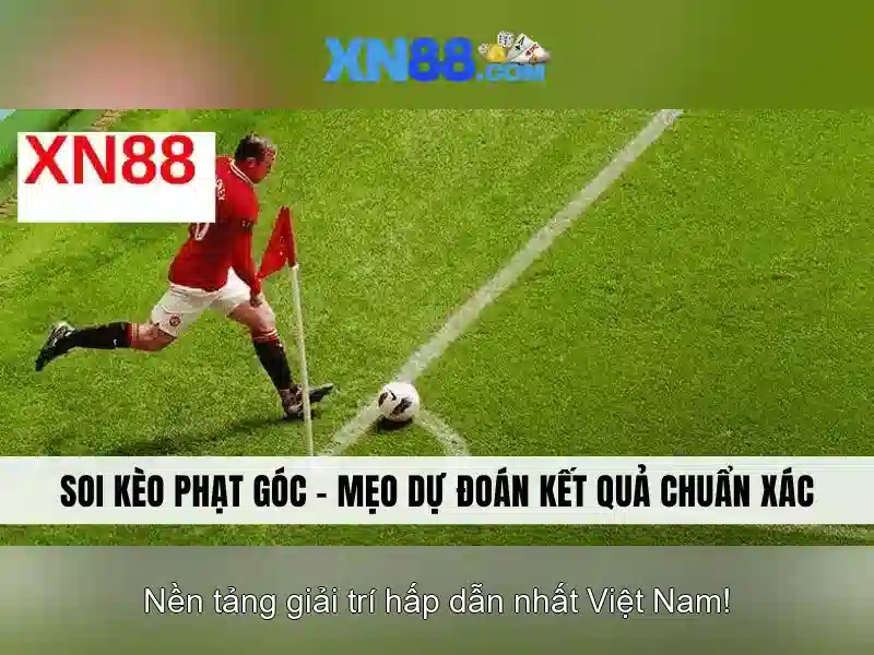 xn88: một nền tảng công nghệ số và cộng đồng sáng tạo