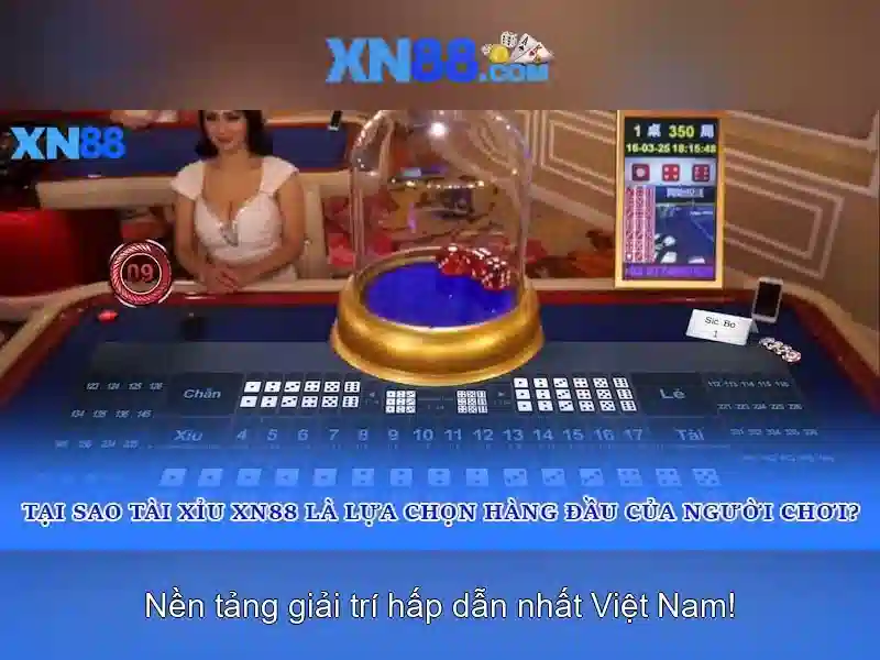 Các sản phẩm và dịch vụ